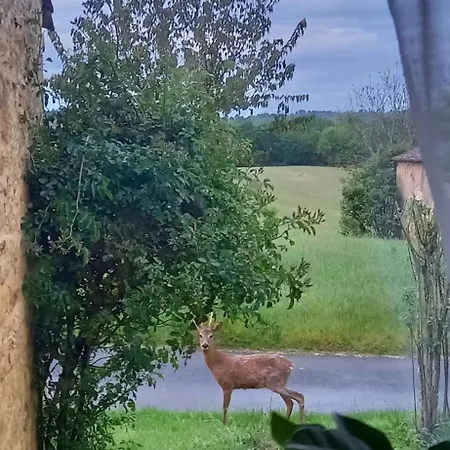 Paisible En Pleine Nature * Lolme